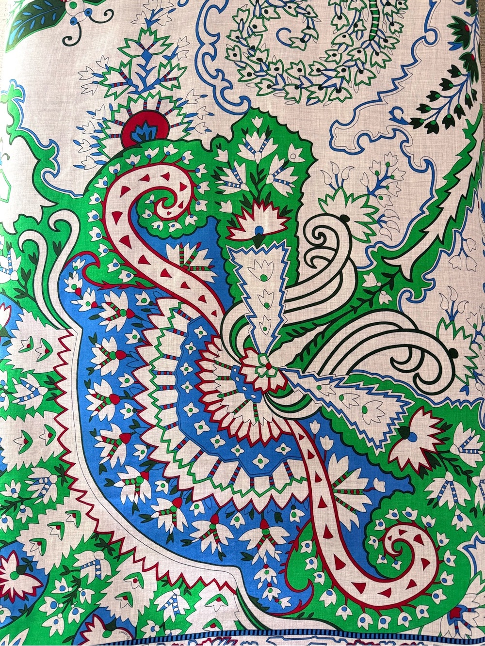 Hermes Paisley From Paisley Shawl